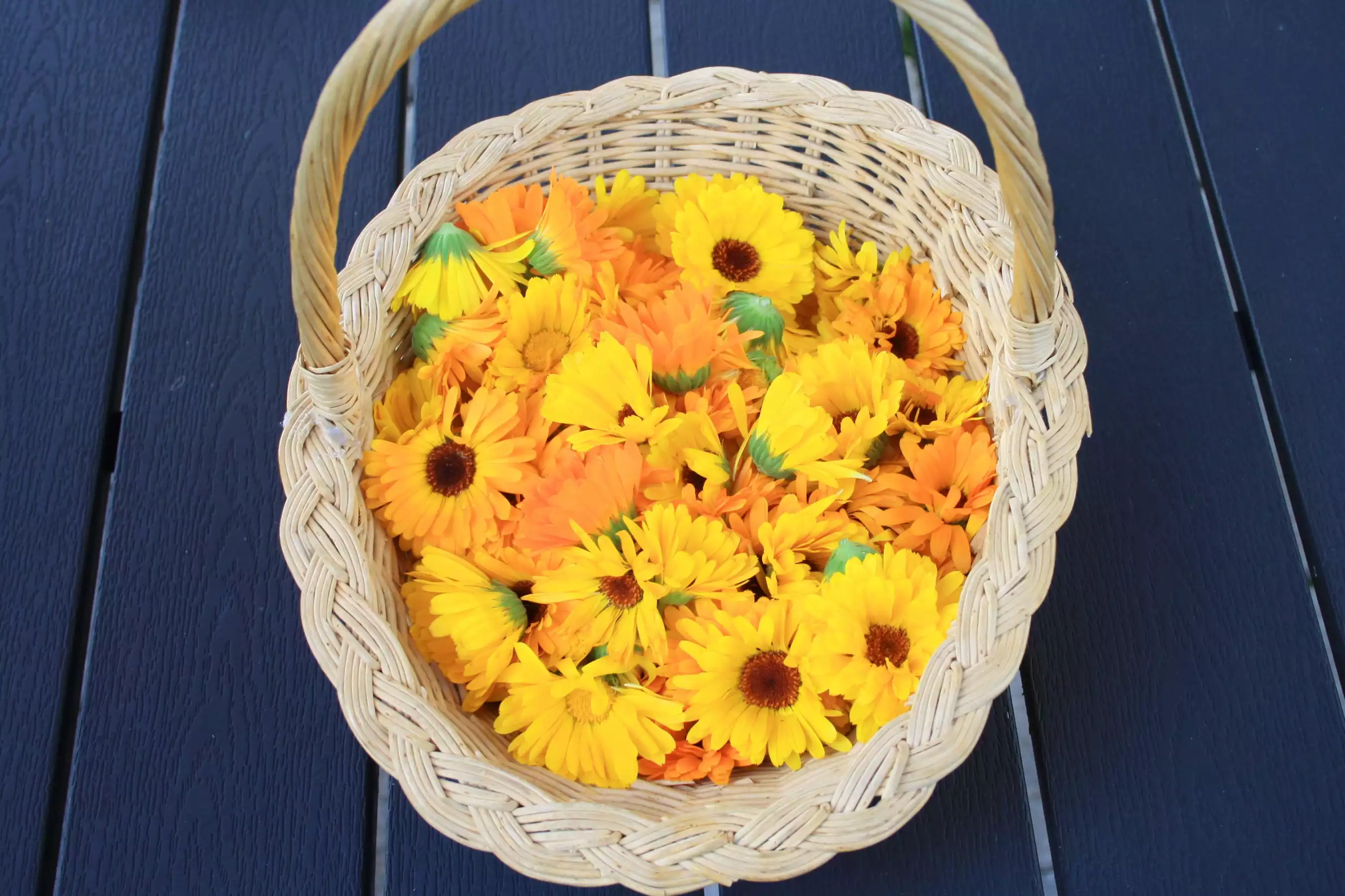 Ätherische Öle der Ringelblume